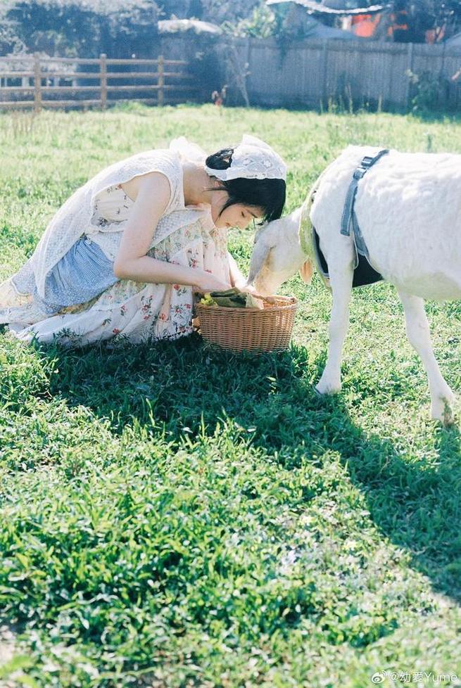 黑料不打烊正能量入口付费，更快更便捷的网页体验